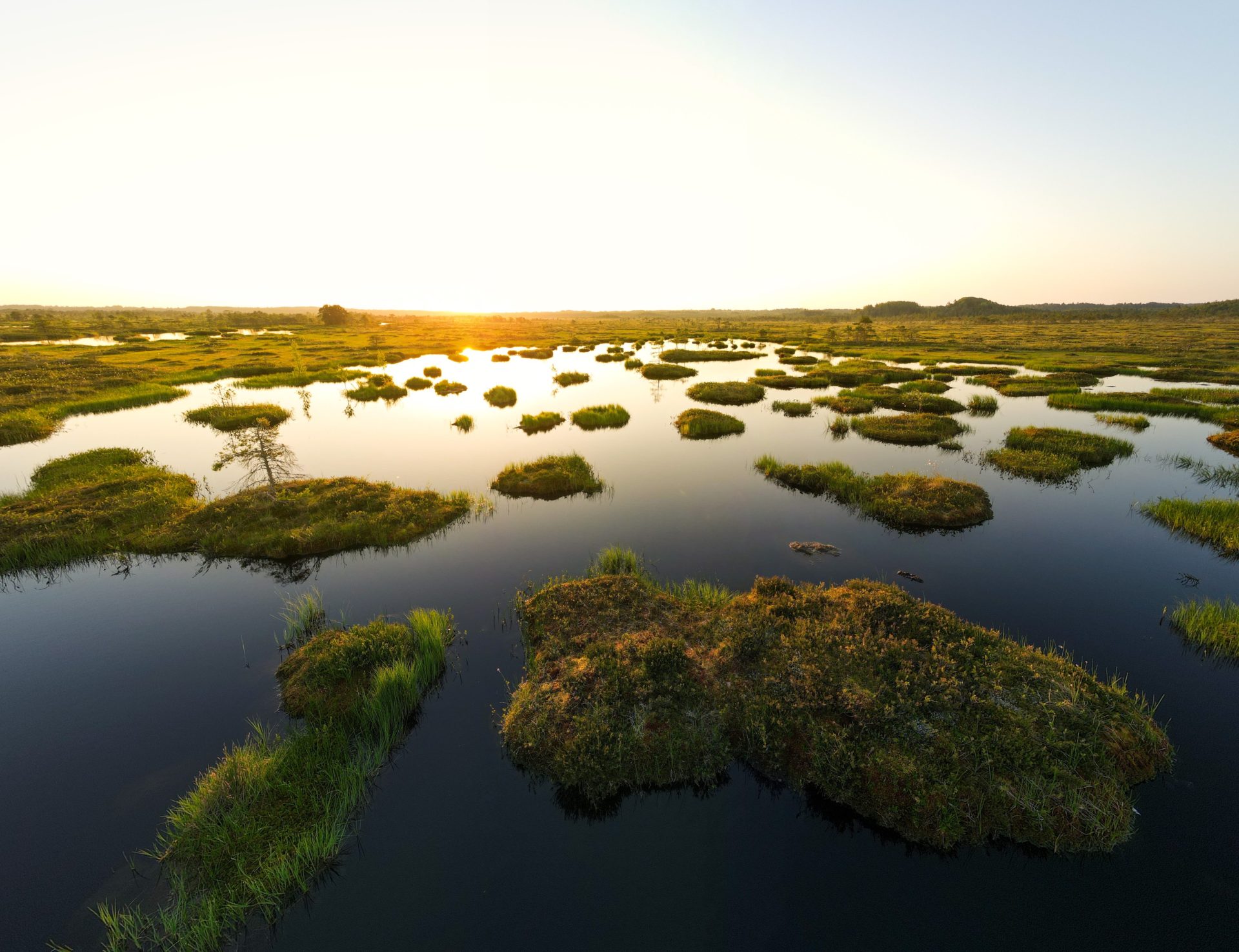 WaterLANDS project  to tackle largescale restoration of Europe’s wetlands