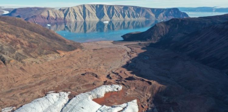 Greenland’s ice sheet is melting and being replaced by vegetation